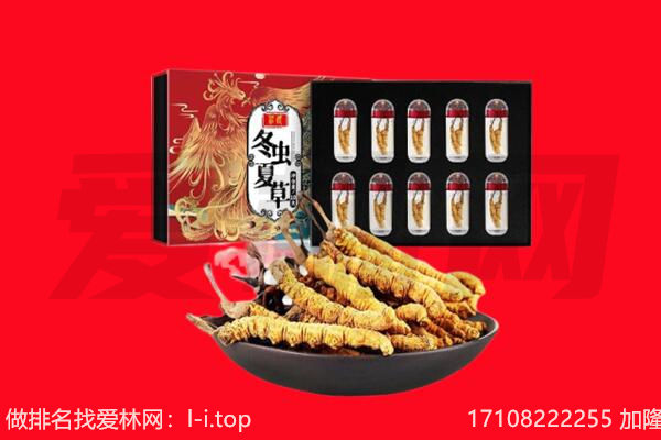 伊犁乌苏市回收虫草.jpg